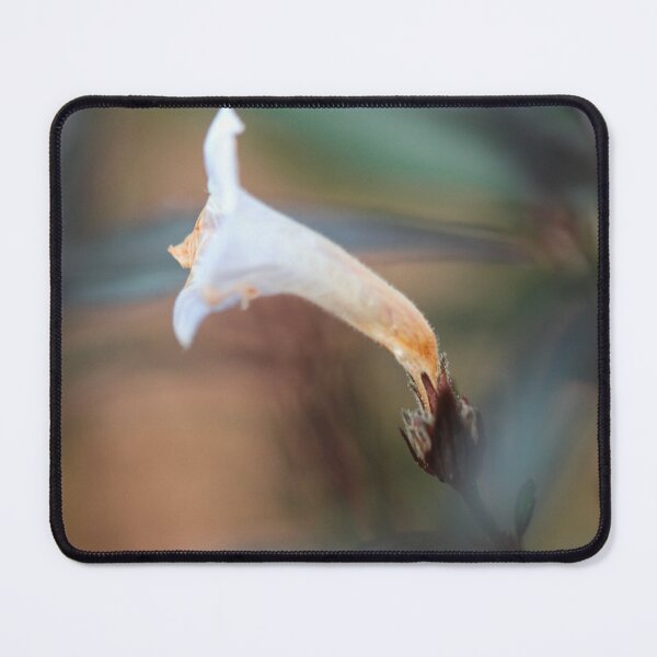 Item preview, Tiny White Flower designed and sold by danasdiary.