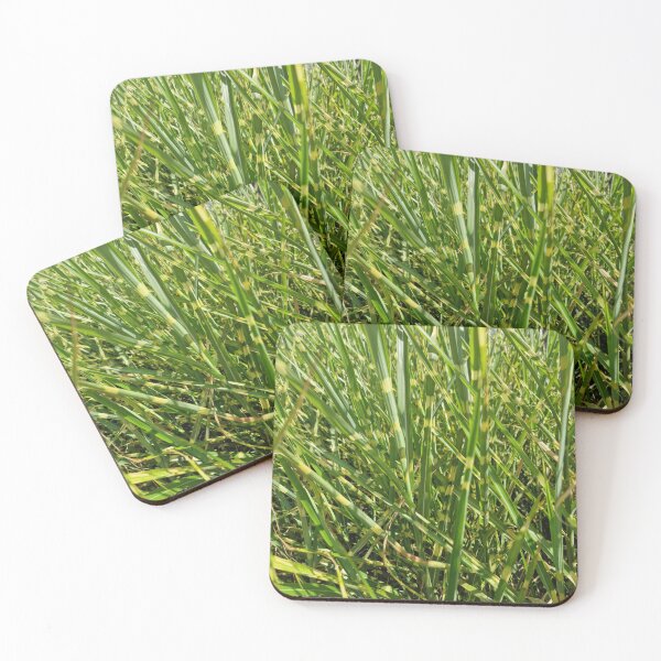 Item preview, Green-Yellow Chinese Silver Grass designed and sold by Gaboro.