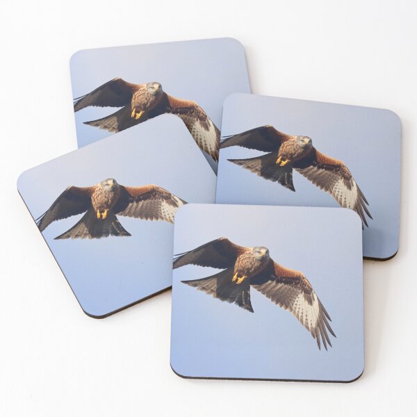 Item preview, Red kite incoming designed and sold by GreyFeatherPhot.