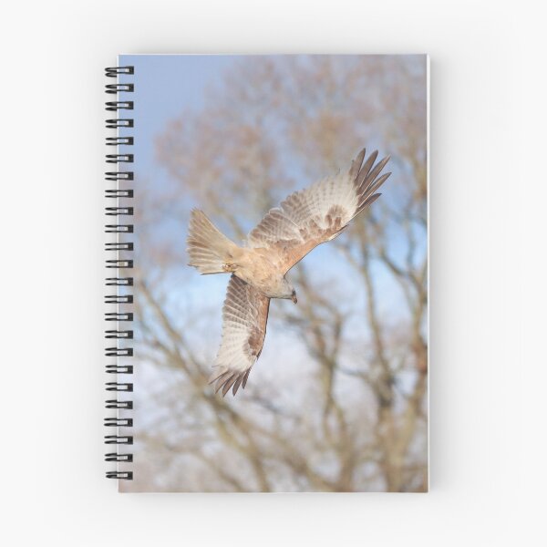 Item preview, White red kite diving  designed and sold by GreyFeatherPhot.