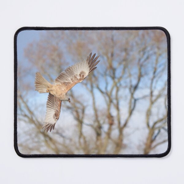 Item preview, White red kite diving  designed and sold by GreyFeatherPhot.