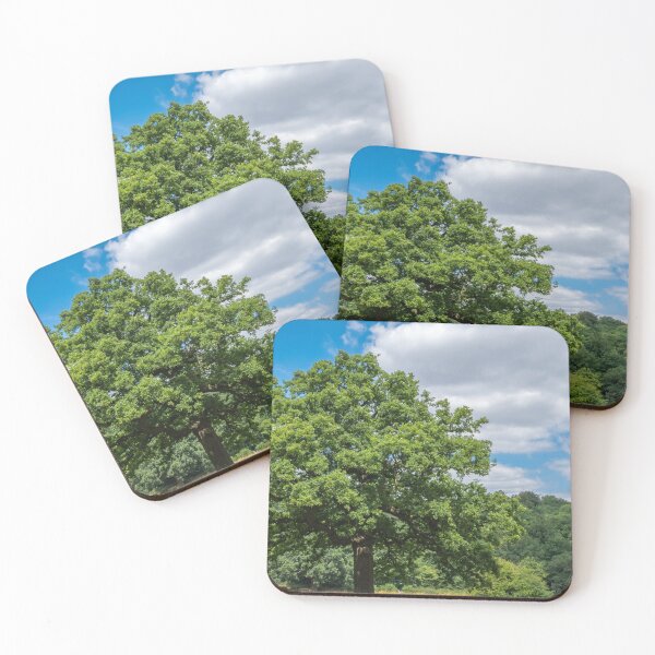 Item preview, Chantry Wood, Guildford, Surrey – Serene Nature Landscape Photography designed and sold by ThatSurreyLife.