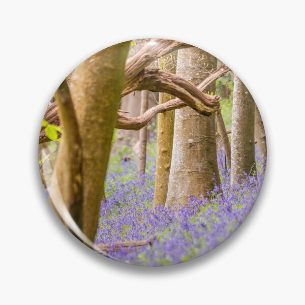 Item preview, Bluebells at Chantry Wood – Springtime Beauty in Guildford, Surrey, England designed and sold by ThatSurreyLife.