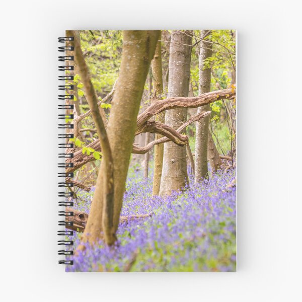 Item preview, Bluebells at Chantry Wood – Springtime Beauty in Guildford, Surrey, England designed and sold by ThatSurreyLife.