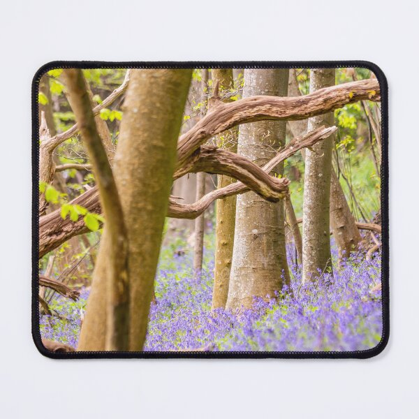 Item preview, Bluebells at Chantry Wood – Springtime Beauty in Guildford, Surrey, England designed and sold by ThatSurreyLife.