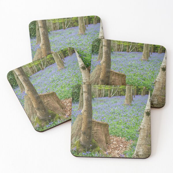 Item preview, Bluebells at Chantry Wood – Springtime Beauty in Guildford, Surrey, England designed and sold by ThatSurreyLife.