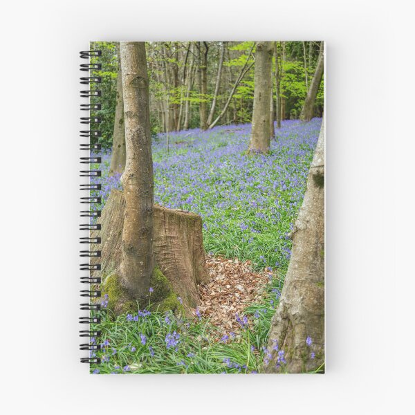 Item preview, Bluebells at Chantry Wood – Springtime Beauty in Guildford, Surrey, England designed and sold by ThatSurreyLife.