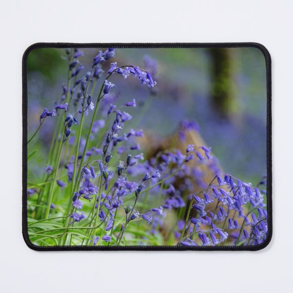 Item preview, Bluebells in Surrey, England – A Springtime Woodland Wonder designed and sold by ThatSurreyLife.