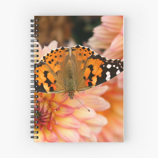 Item preview, Butterfly designed and sold by tonni.