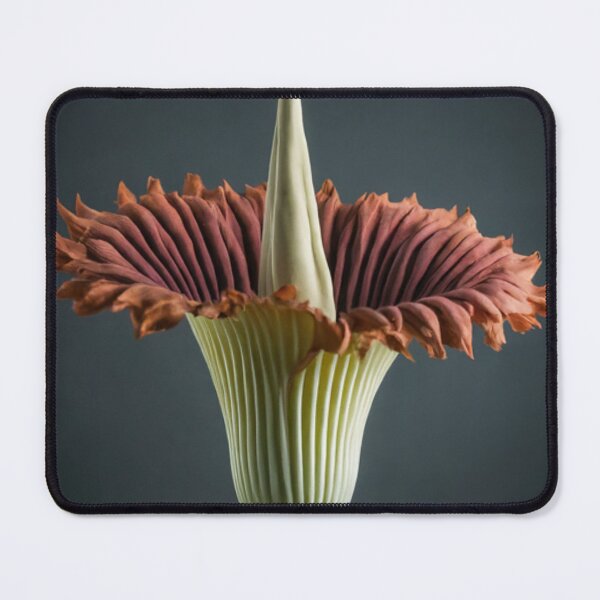 Item preview, Lunar Contemplation designed and sold by BestArtByArvind.