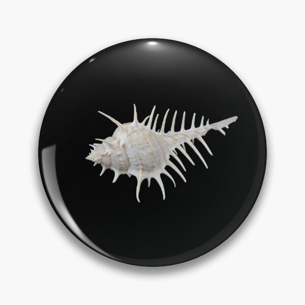 Item preview, Murex Scolopax shell designed and sold by stedata.