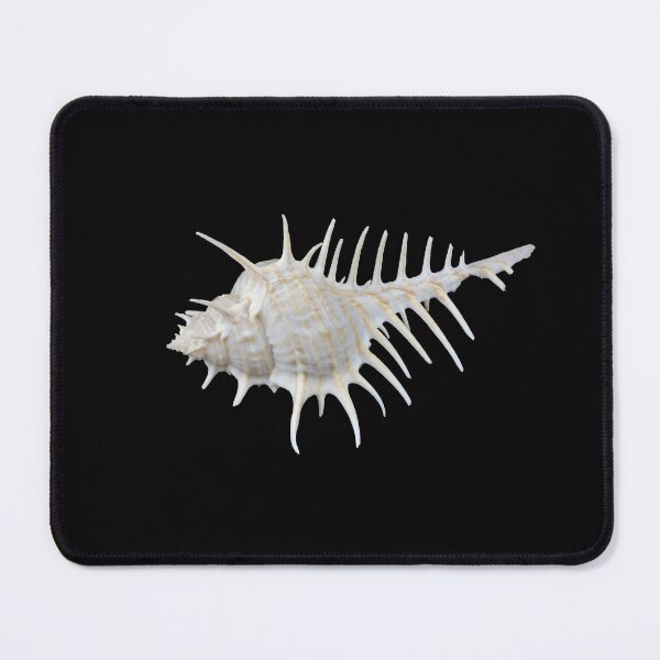 Item preview, Murex Scolopax shell designed and sold by stedata.