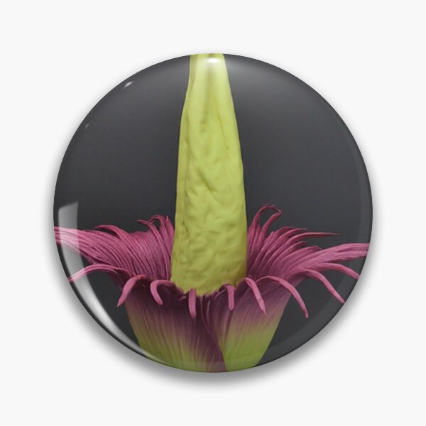 Item preview, Titan Arum in Bloom designed and sold by BestArtByArvind.