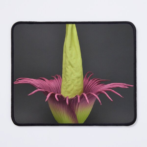 Item preview, Titan Arum in Bloom designed and sold by BestArtByArvind.