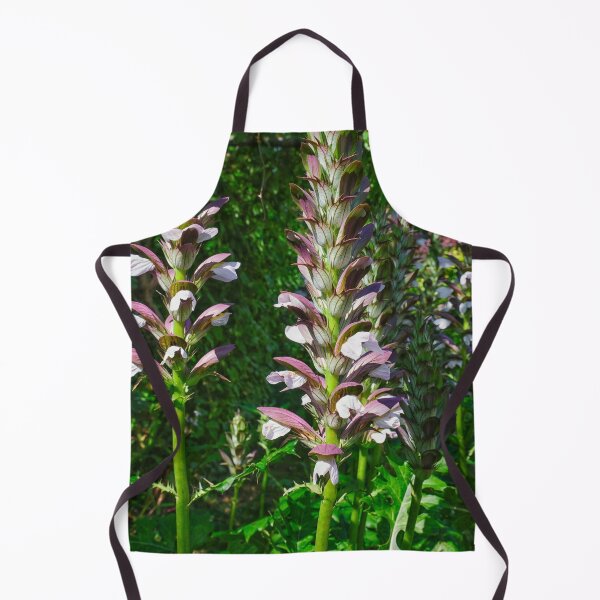 Item preview, Acanthus spinosus, Bear's Breeches designed and sold by Photopat.