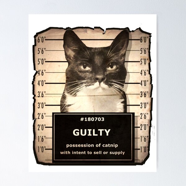 Item preview, Mugshot designed and sold by threadsbynetts.