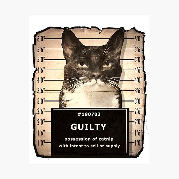 Item preview, Mugshot designed and sold by threadsbynetts.