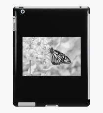 Monarch in monochrome iPad Case/Skin
