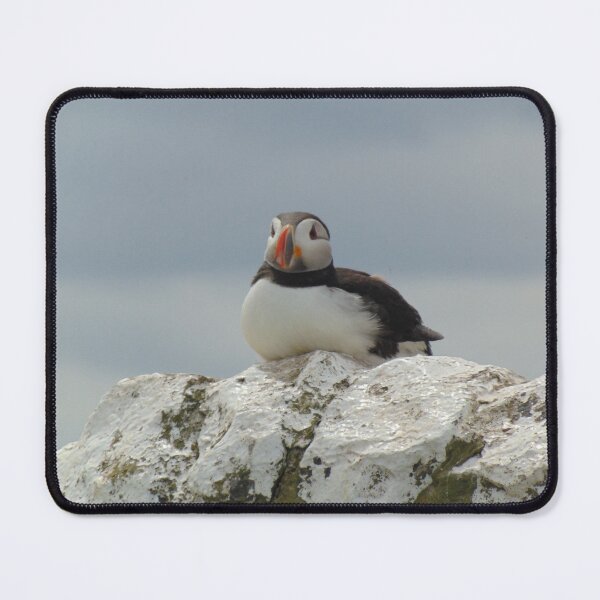 Item preview, Puffin - Clown Of The Bird World designed and sold by altonbear.