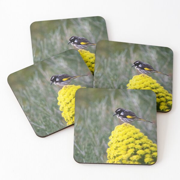 Item preview, Beautiful little New Holland Honeyeater  designed and sold by imaginethis.