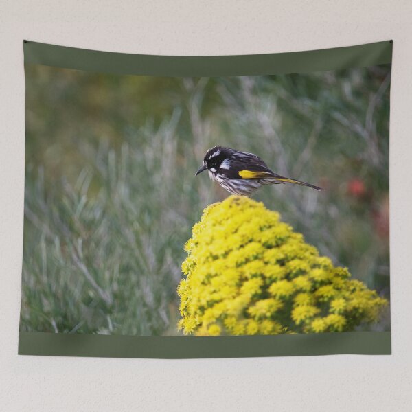 Item preview, Beautiful little New Holland Honeyeater  designed and sold by imaginethis.