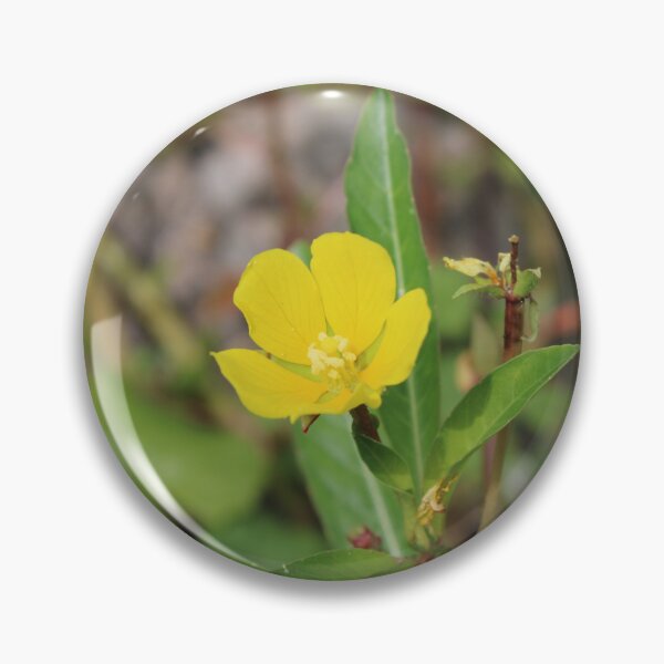 Item preview, Ludwigia peploides designed and sold by McFleur's Lens.