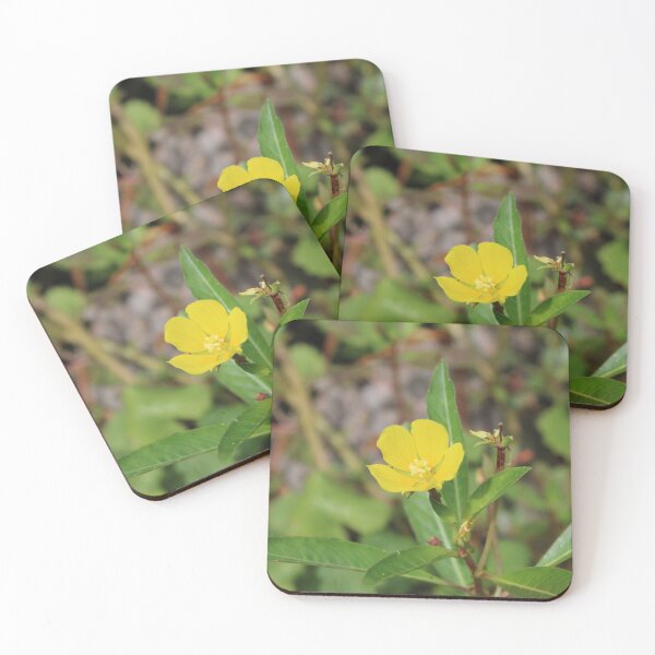 Item preview, Ludwigia peploides designed and sold by McFleur's Lens.