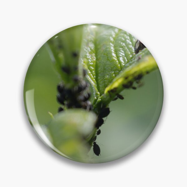 Item preview, Lice and Ladybug designed and sold by Calidris Fotografie Steffi & Ben Köppler.