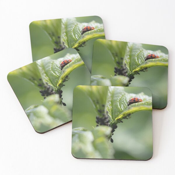 Item preview, Lice and Ladybug designed and sold by Calidris Fotografie Steffi & Ben Köppler.