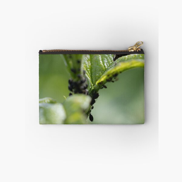 Item preview, Lice and Ladybug designed and sold by Calidris Fotografie Steffi & Ben Köppler.