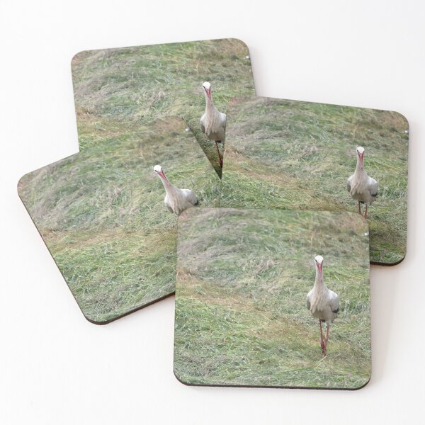 Item preview, White stork designed and sold by Calidris Fotografie Steffi & Ben Köppler.