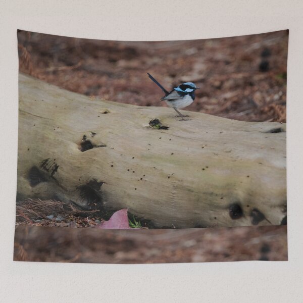 Item preview, Supurb Fairywren standing on a log designed and sold by imaginethis.