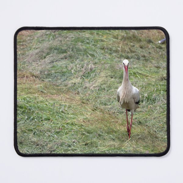 Item preview, White stork designed and sold by Calidris Fotografie Steffi & Ben Köppler.