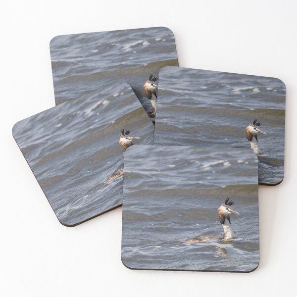 Item preview, great crested grebe designed and sold by Calidris Fotografie Steffi & Ben Köppler.