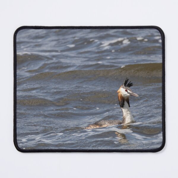Item preview, great crested grebe designed and sold by Calidris Fotografie Steffi & Ben Köppler.