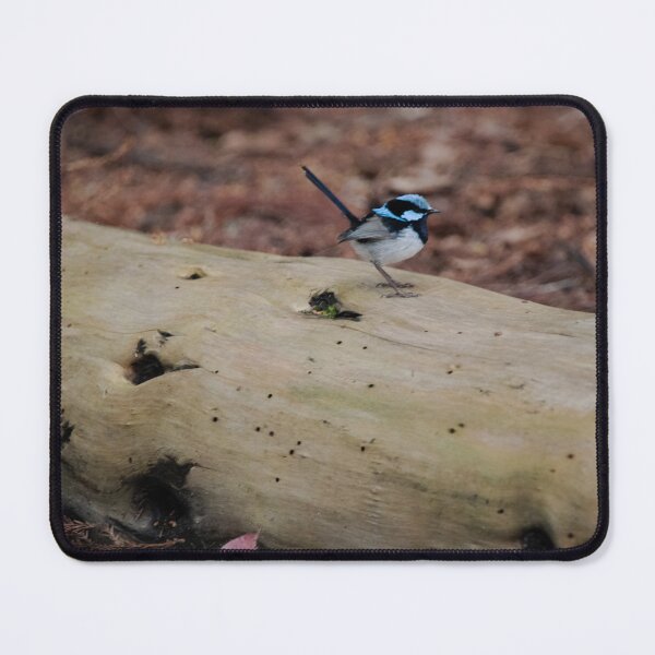 Item preview, Supurb Fairywren standing on a log designed and sold by imaginethis.