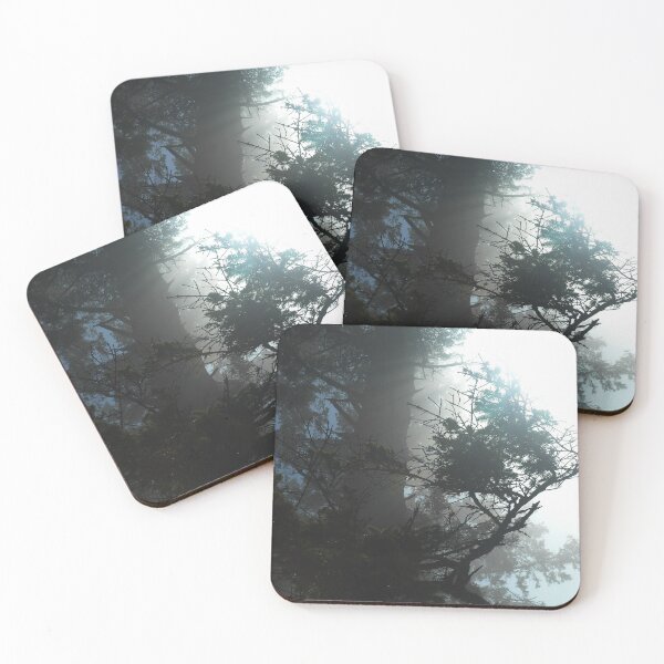Item preview, Sunlit Forest by the Ocean: A Beautiful Contrast of Light and Shadow designed and sold by Pnwphotography.