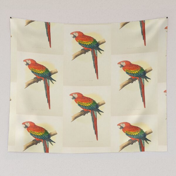 Item preview, Red And Blue Macaw Parrot Scientific Vintage Illustration designed and sold by Lacasadellora.