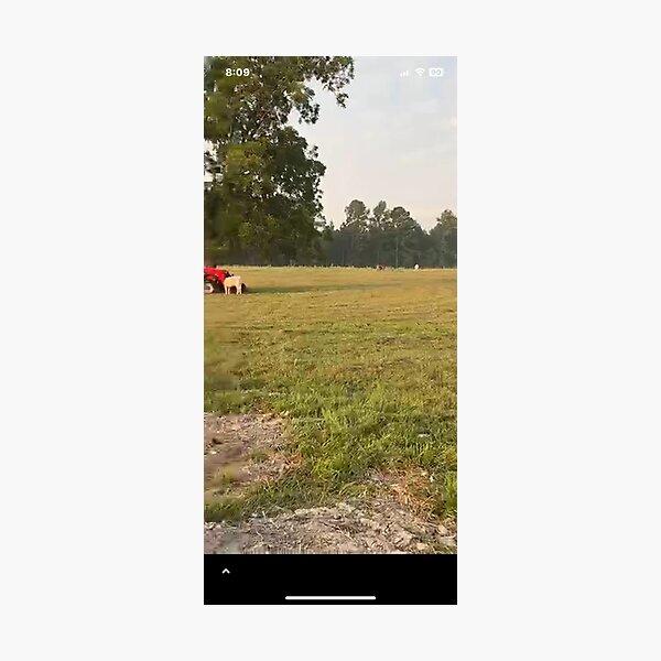 Item preview, Farmland designed and sold by DONNETTE KNIGHT.