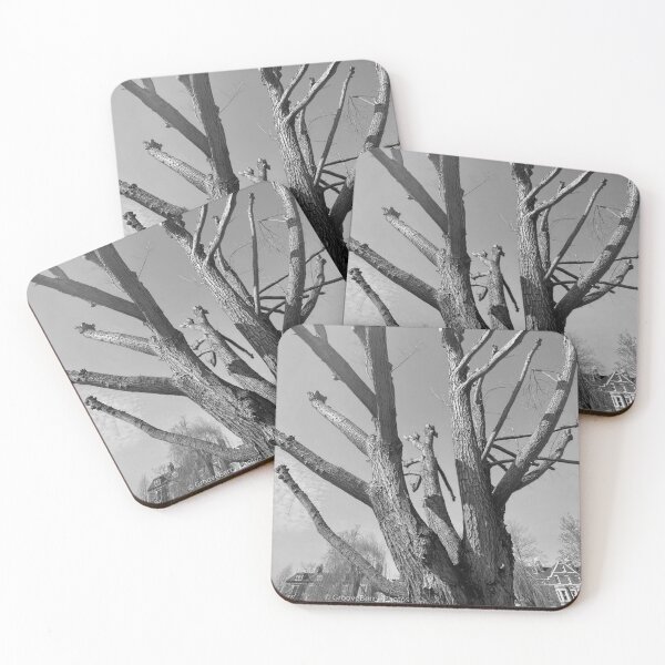 Item preview, Photo of Tree Branches Bare in Winter - Noir designed and sold by GrooveBerry.