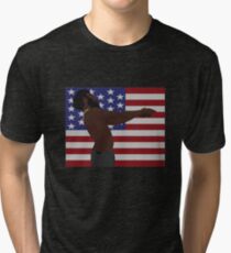 Childish Gambino - This Is America (Full Flag) Tri-blend T-Shirt