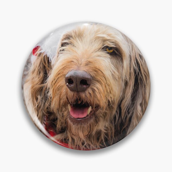 Item preview, Santa Paws designed and sold by JEZ22.