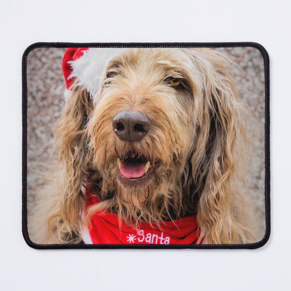 Item preview, Santa Paws designed and sold by JEZ22.