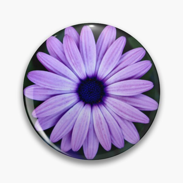 Item preview, Cape Marguerite 1 designed and sold by Angela Fazio.