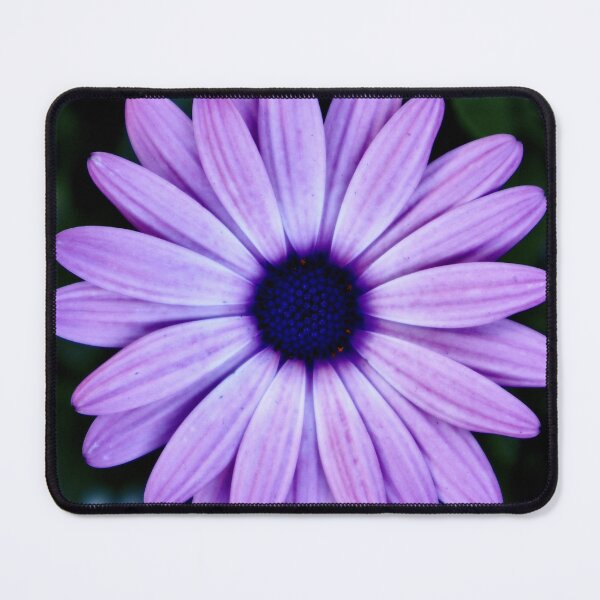 Item preview, Cape Marguerite 1 designed and sold by Angela Fazio.