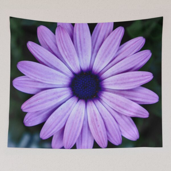 Item preview, Cape Marguerite 1 designed and sold by Angela Fazio.