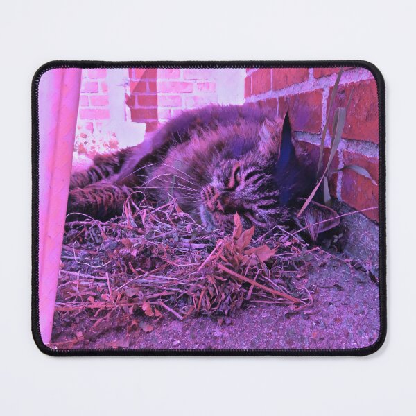 Item preview, MAINE COONE CAT IN PINK LEAVES designed and sold by Most1234.