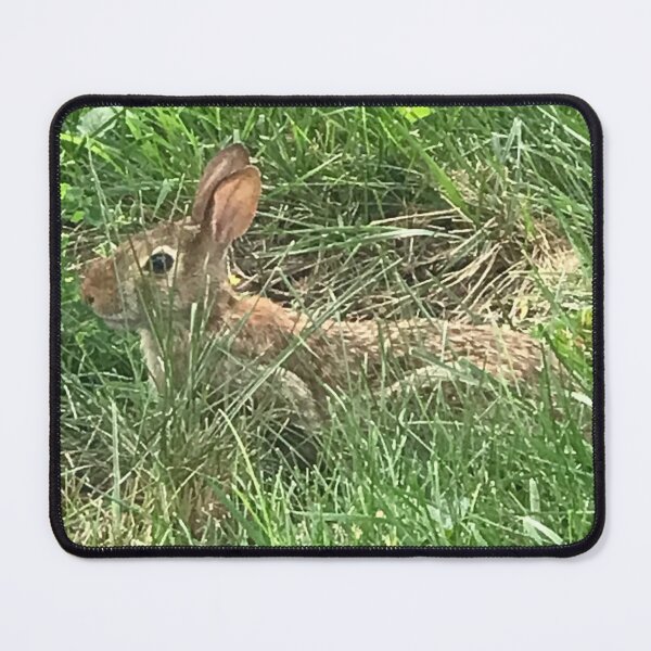 Item preview, Rabbit in grass  designed and sold by SaltyMonster.