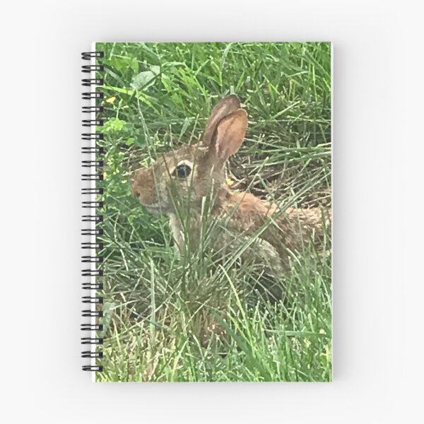 Item preview, Rabbit in grass  designed and sold by SaltyMonster.