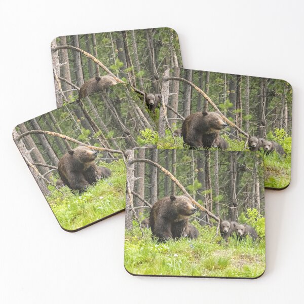 Item preview, Charting the Course - Grizzly 399 with Her Four Cubs designed and sold by Belinda Greb Photography.